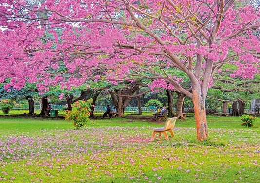 9 Reasons why Bangalore is the best city in India