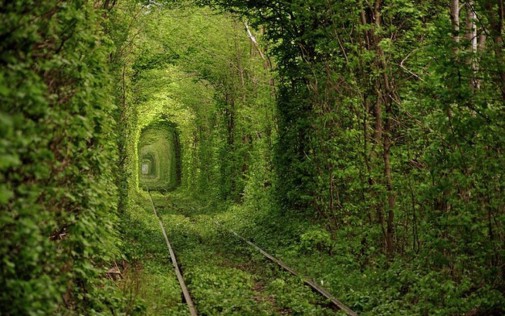 http://cdn.earthporm.com/wp-content/uploads/2014/01/Fairy-Tale-Tunnel-of-Love-Found-in-Klevan-Ukraine-5.jpg