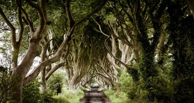 http://www.flixelpix.com/wp-content/uploads/2012/07/5P4A4968.jpg