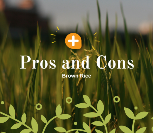 Top 5 Advantages & Disadvantages of Eating Brown Rice