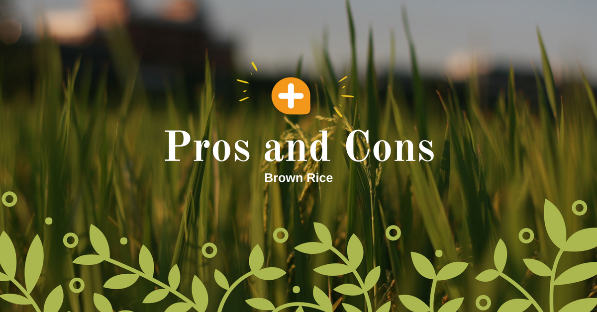 Top 5 Advantages & Disadvantages of Eating Brown Rice Topcount