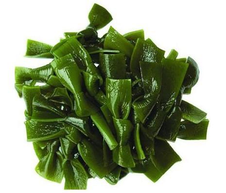 http://blog.zenmed.com/wp-content/uploads/2012/06/8556sea-kelp.jpg