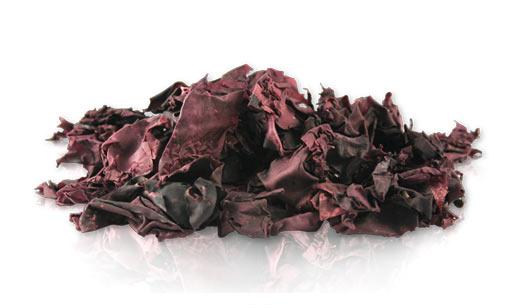 http://www.irishseaweeds.com/wp-content/uploads/2013/12/smoked-dulse.jpg