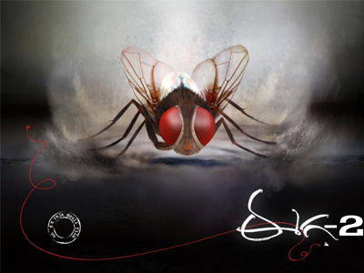 3 reasons which states that Rajamouli’s next venture is Eega 2