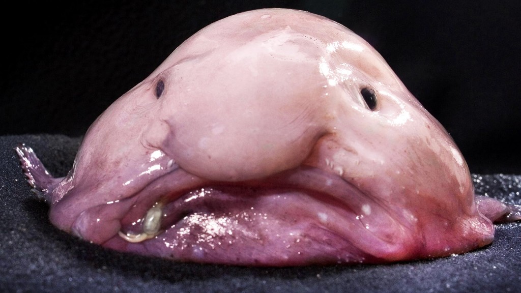 creepiest-things-on-reddit