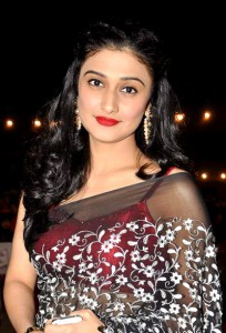 Glamorous Indian TV Actresses