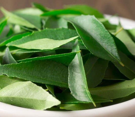 4 important health benefits of curry leaves – you will never throw them away from plate