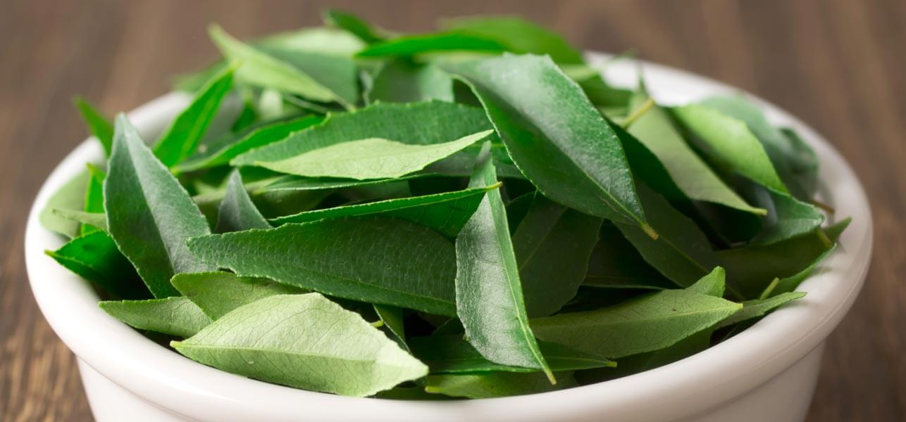 4 important health benefits of curry leaves - you will never throw them away from plate
