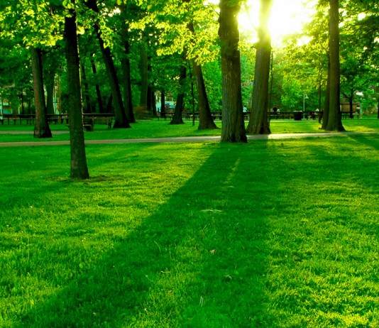 We Must Protect Our Environment!