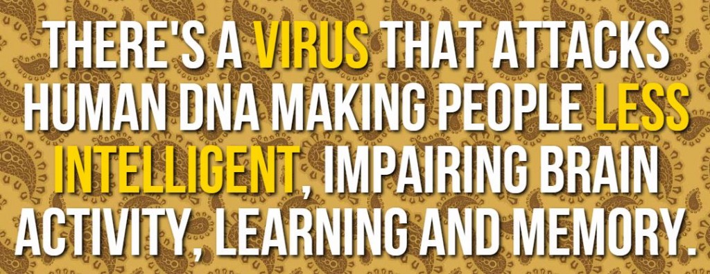 10 AMAZING FACTS ABOUT THE HUMAN BRAIN intelligence overview