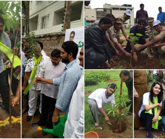 Haritha Haram Campaign: Tollywood Celebrities Dazzle To Say Go Green Hyderabad!