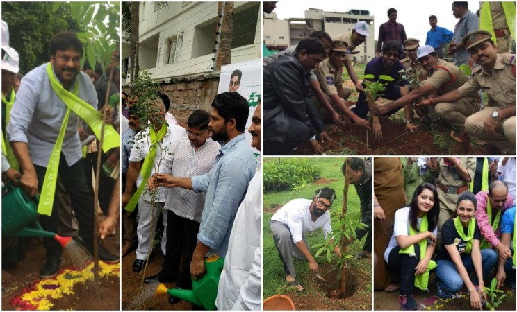 Haritha Haram Campaign: Tollywood Celebrities Dazzle To Say Go Green Hyderabad!