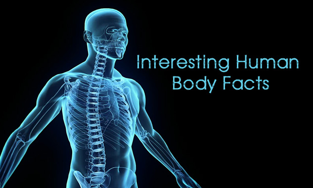 10 Amazing facts you need to know about the human body