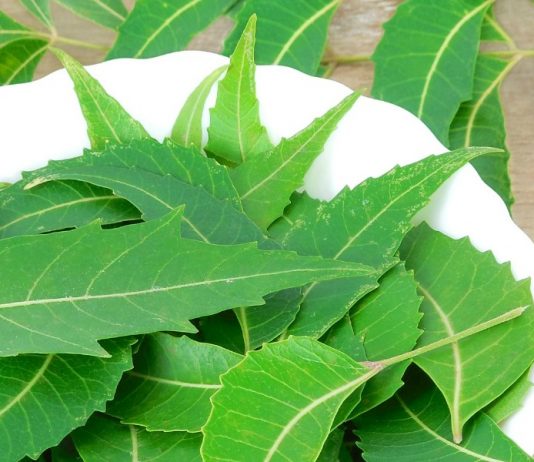 12 Ways To Get Rid Of Dandruff Via Home Remedies