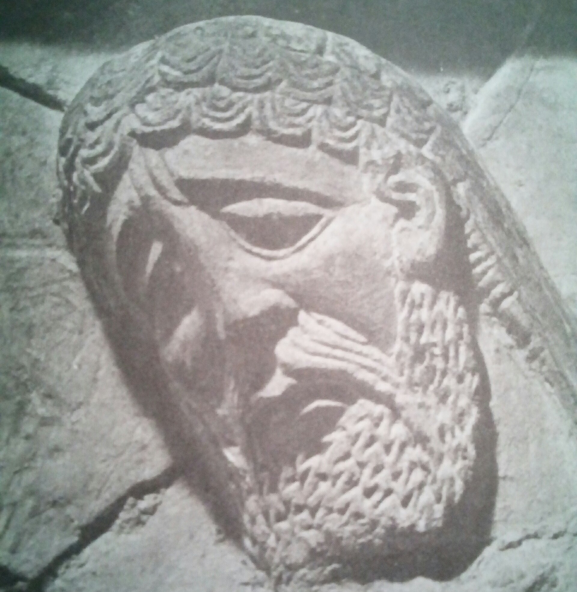 7 Interesting Facts About Christianity