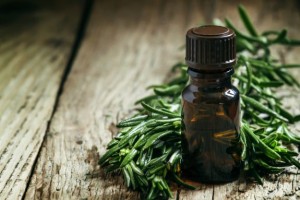 25-Uses-for-Tea-Tree-Oil-Keeper-of-the-Home-feat-575x383