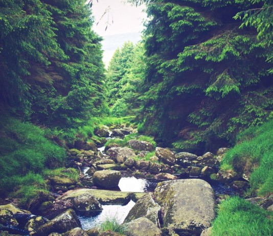 “THE WANDERLUST WITHIN”