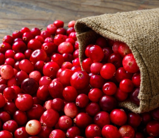 Home Remedies for Treating Urinary Tract Infection (UTI)