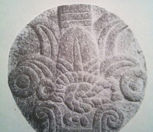 7 Interesting Facts About Language