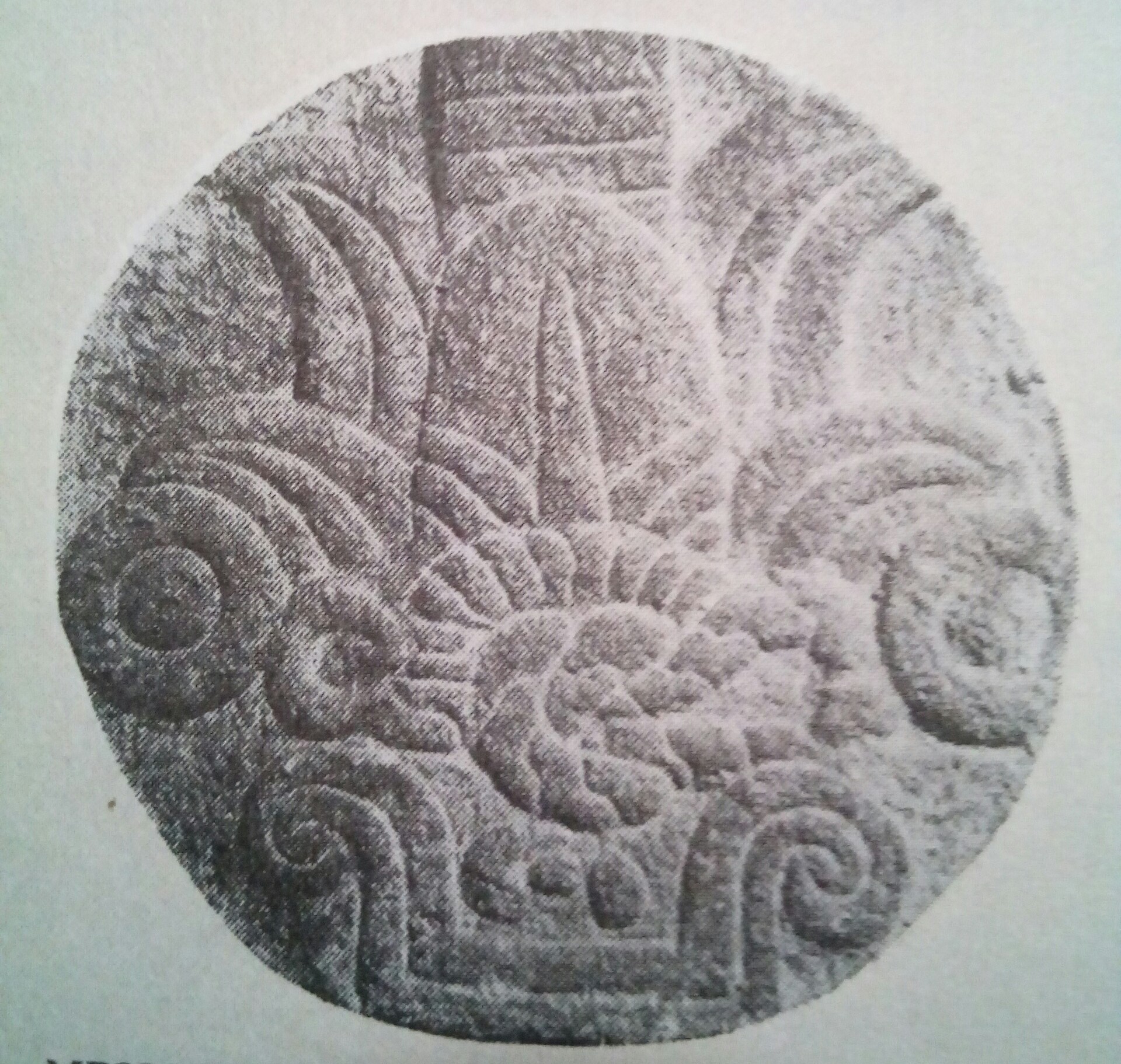 7 Interesting Facts About Language