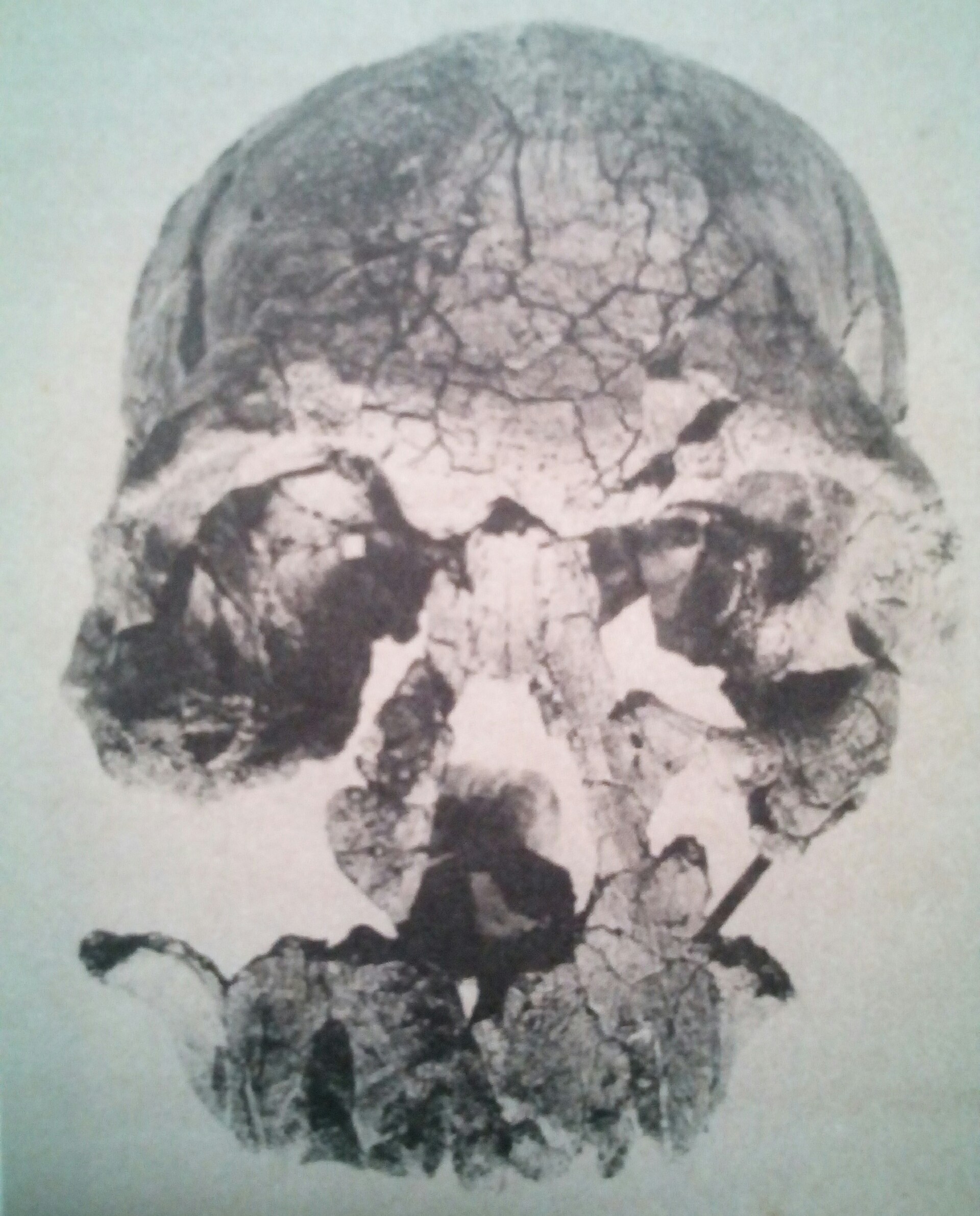 9 Facts About Our Evolutionary Ancestors