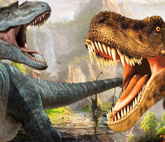 10 Heaviest Dinosaurs of all time you probably should know about!