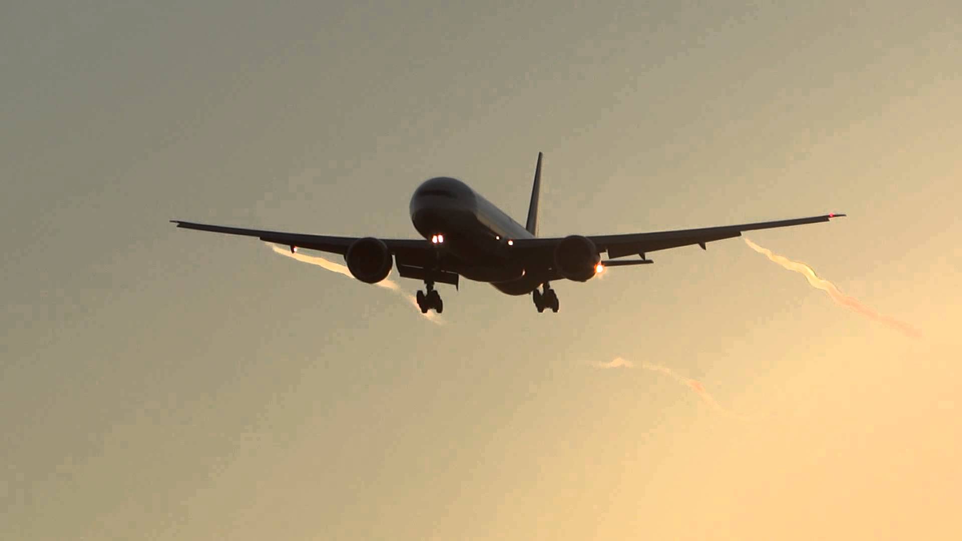 Future of Indian government owned airlines ‘Air India’ - profit or loss.