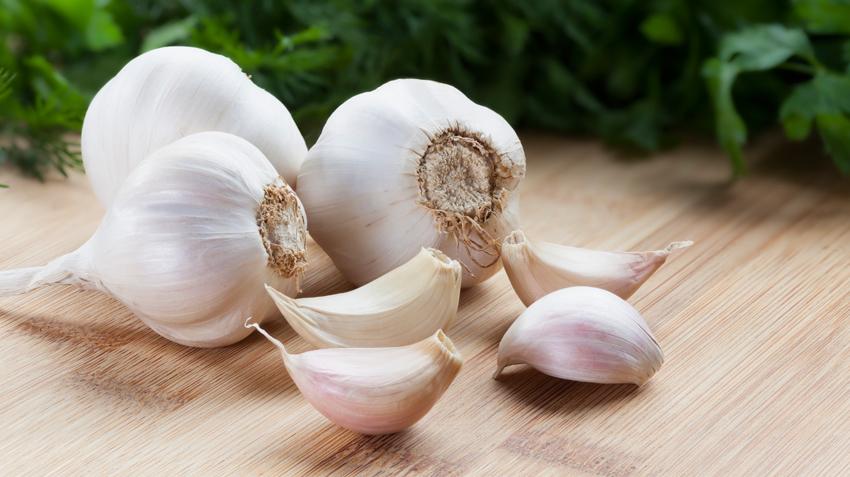 Garlic-images