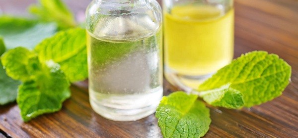 Lemon Balm Oil
