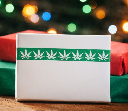 Shopping for Christmas Gifts For the Cannabis User in Your Life? Consider These 5 Suggestions Shopping for Christmas Gifts For the Cannabis User in Your Life? Consider These 5 Suggestions