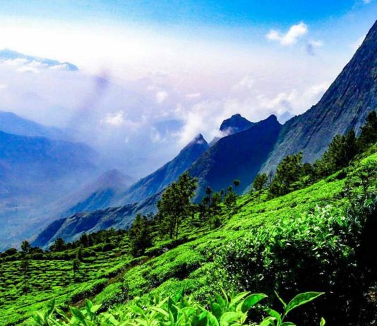 Top 10 Best Places to Visit in South India Top 10 best places to visit in South India