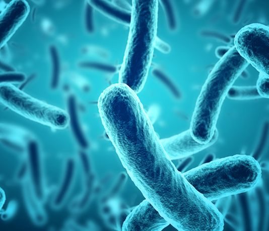 Disease “X”: The latest deadly disease in the world could kill Millions says Scientists Disease-X