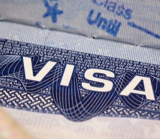 Top 15 Visa Immigration Consultants in Hyderabad