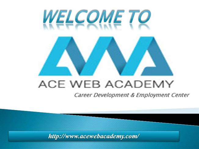 Ace Web Academy