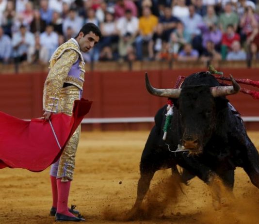 Bullfighting – Is it Legal or Lethal?