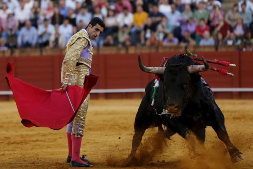 Bullfighting - Is  it Legal or Lethal?