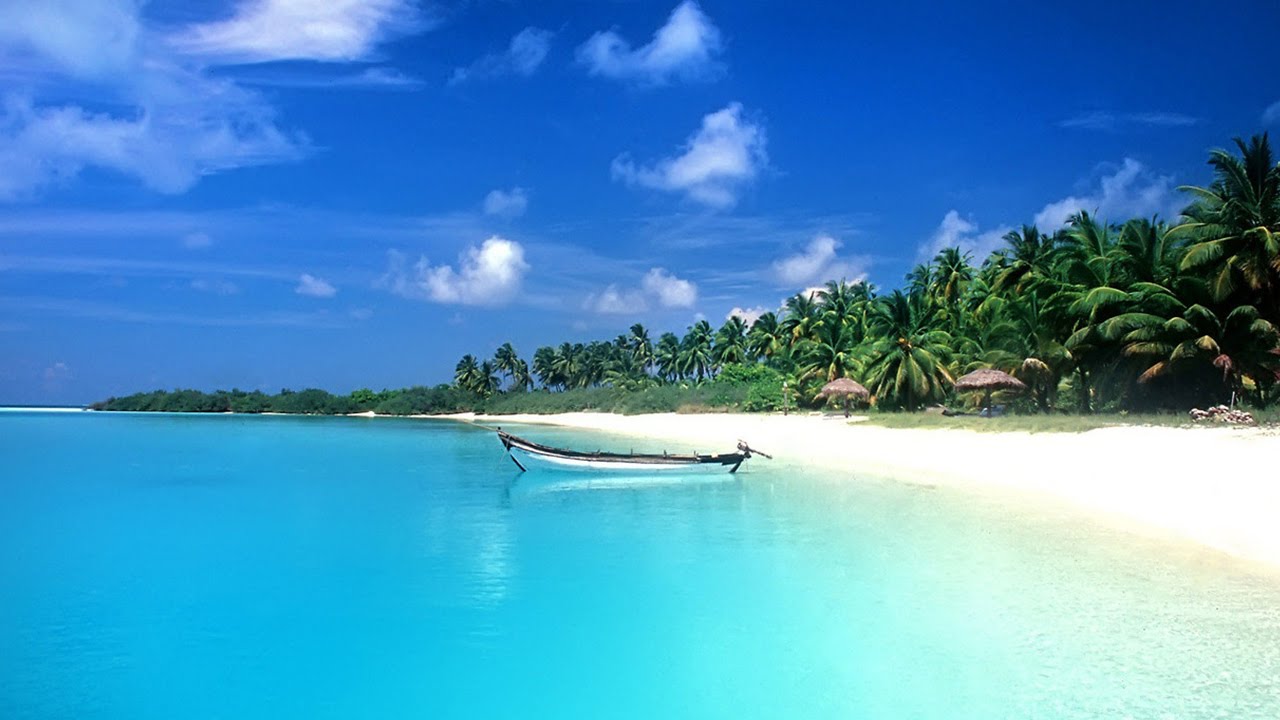 Top 10 Best Beaches in India