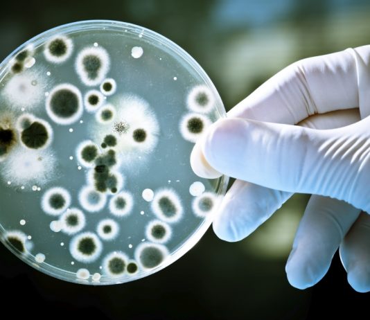 Top 13 most dangerous diseases in the world Top 5 most dangerous diseases in the world