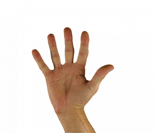 Top Five Reasons Why You Should Check Out Lists and Reviews