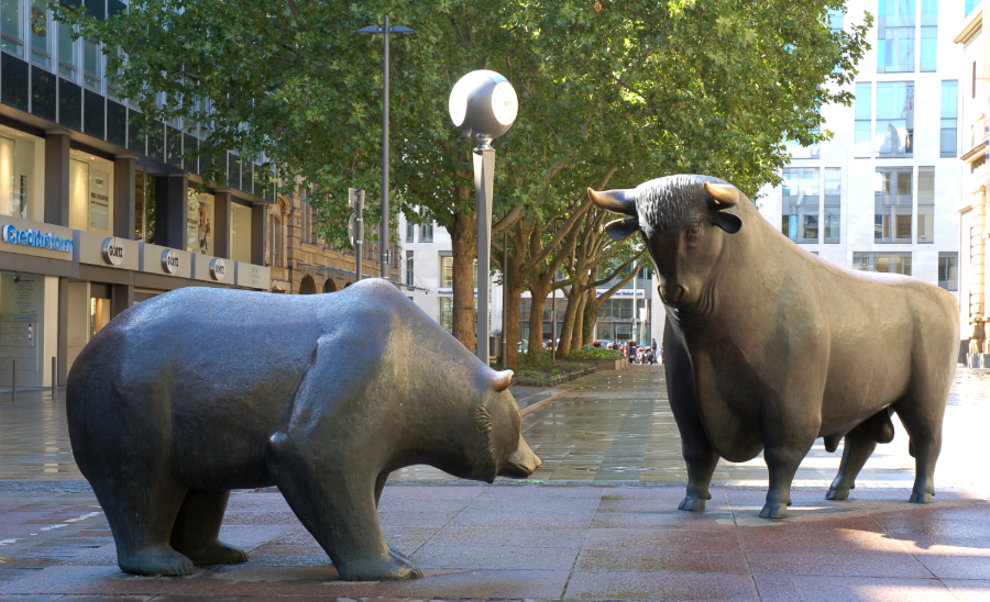 What are the Best Stocks to Buy for Beginners?