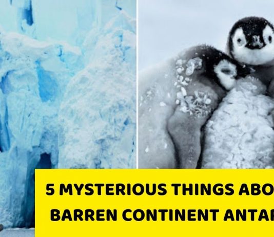 5 mysterious things about the barren continent Antarctica