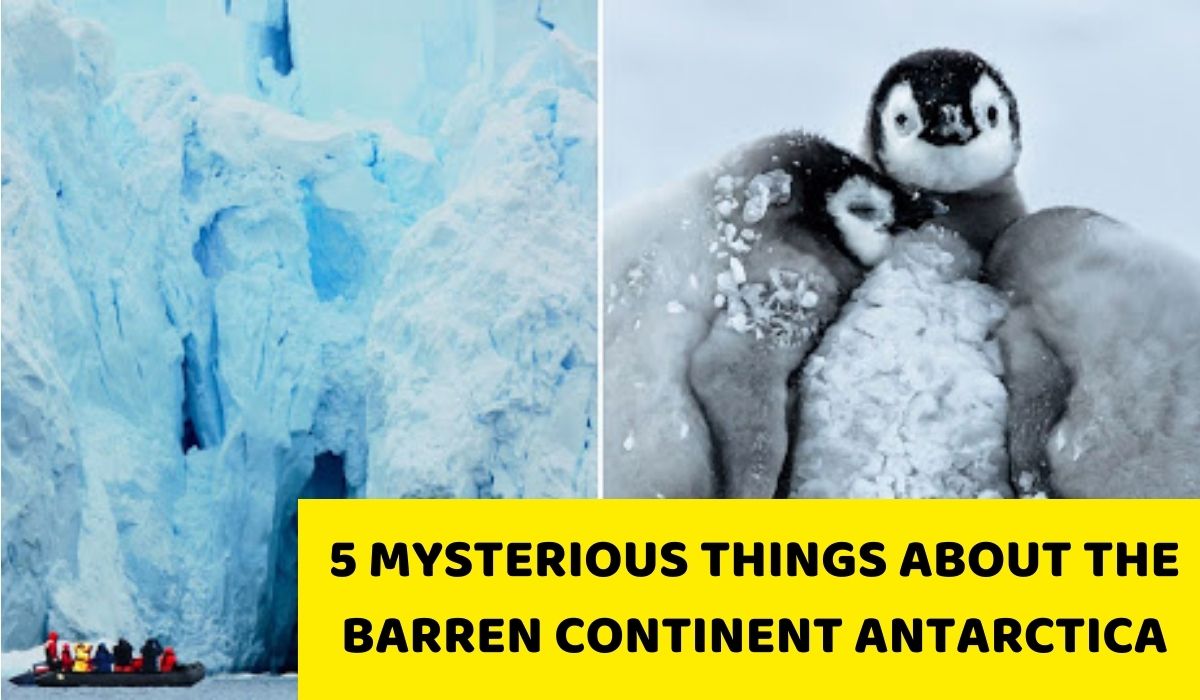 5 mysterious things about the barren continent Antarctica