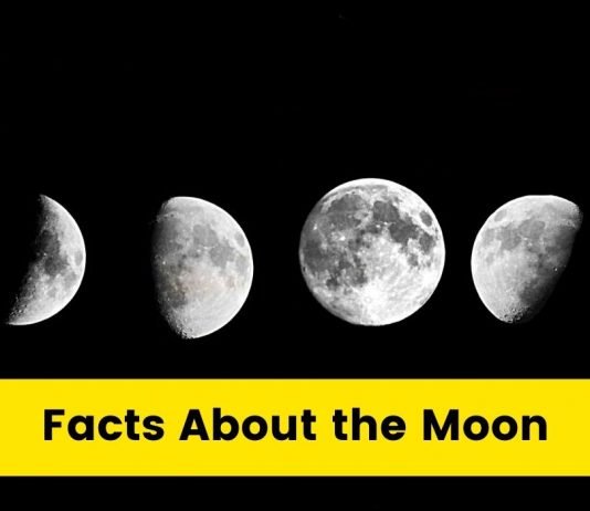 6 Facts About the Moon