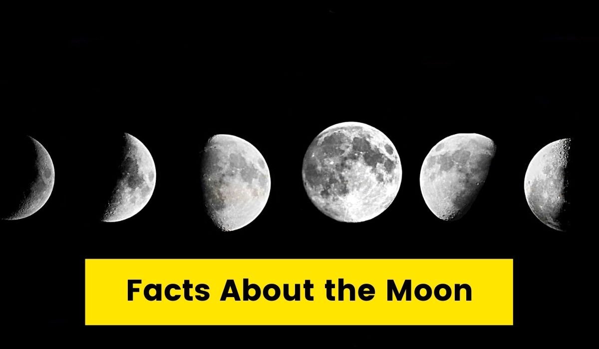 10 Facts About The Moon