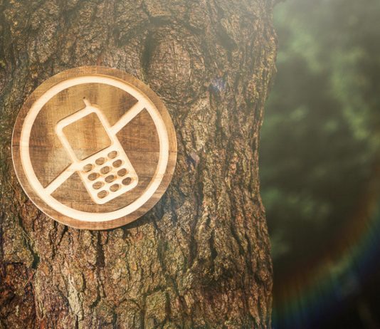 Digital Detox: 7 Hobbies without notification. Digital Detox