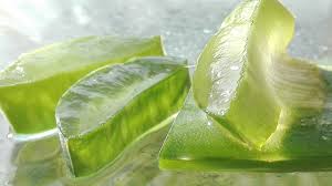 Aloe Vera Gel Is pure or not: 4 ways to tell Aloe Vera Gel Is pure or not
