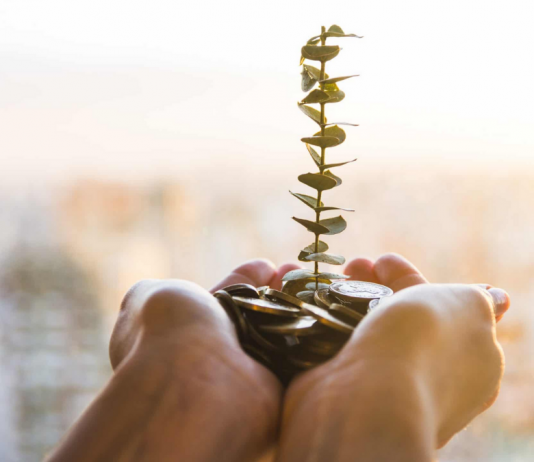 Use Some Patience When Making Decisions in Business and Investments