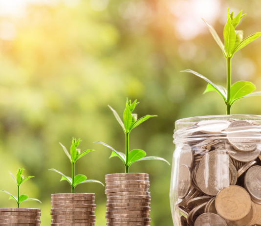 The History and Evolution of the Banking System in India