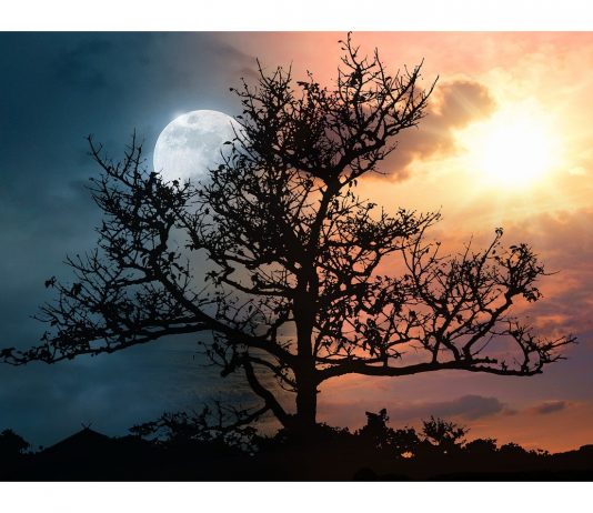 Top 6 places in the world where sun never sets