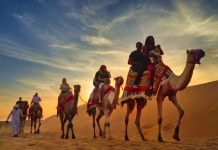 Desert Safari Dubai | Best Never-to-Be-Forgotten Experience